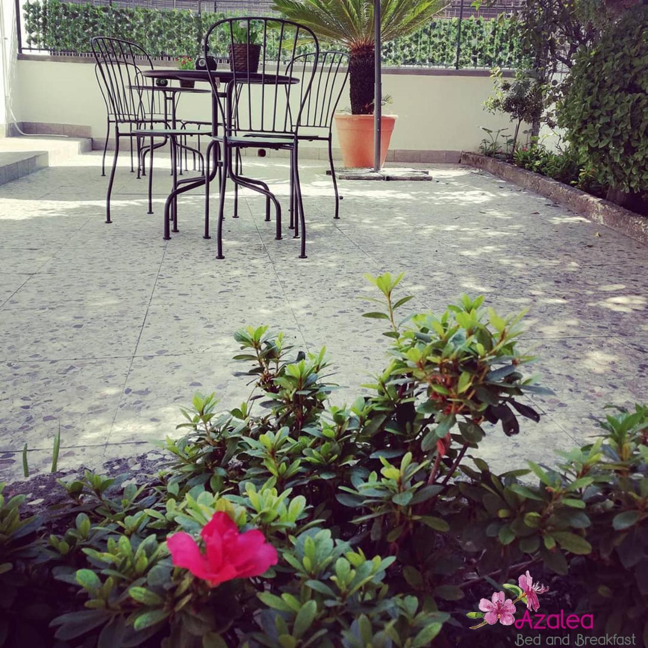 Azalea B&B Napoli Bagian luar foto